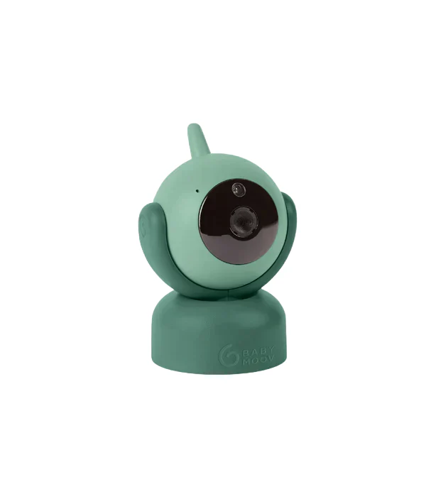 Miniatuur 1