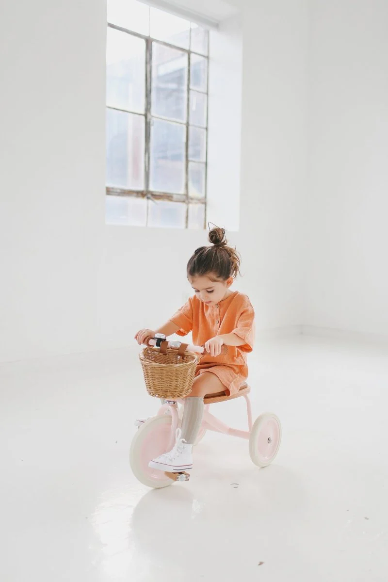 Banwood Loopfiets Pink - Image 9