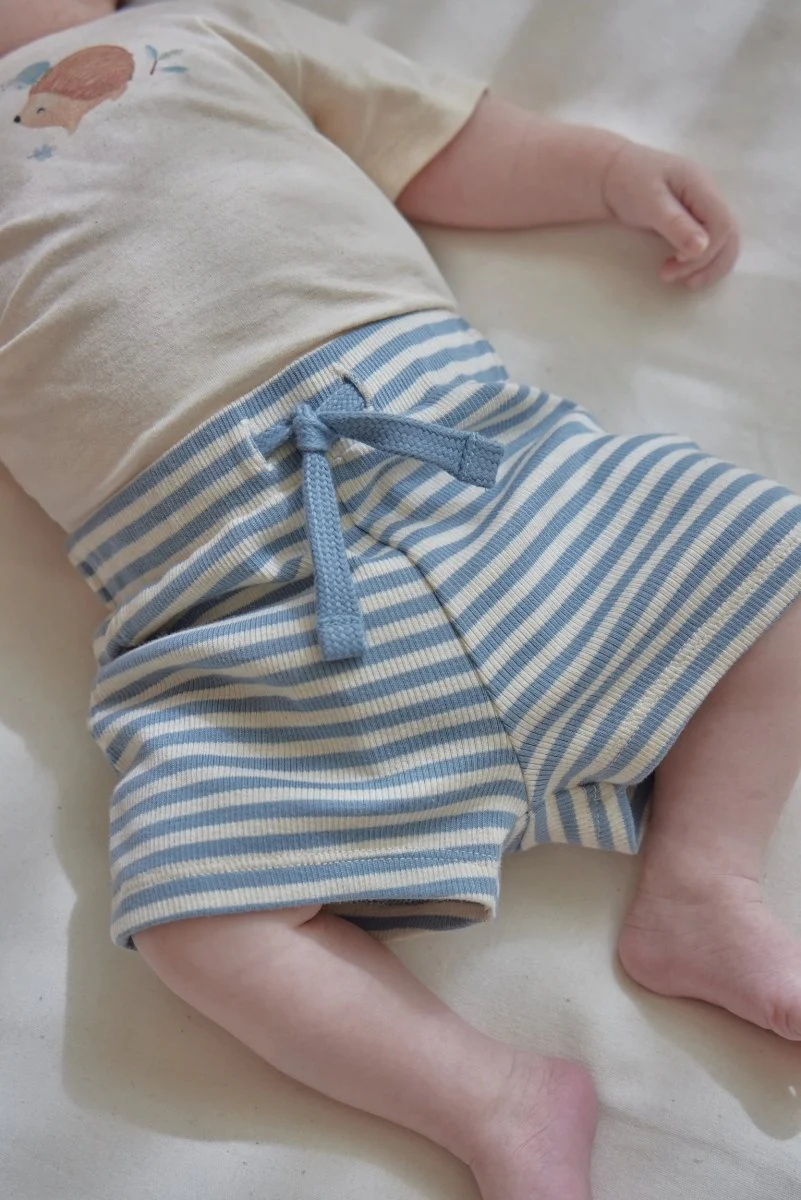 Korte broek blauw Stone Blue stripe - Image 4