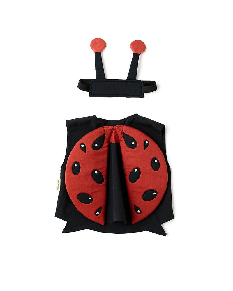 Lieveheersbeestje verkleedkleding