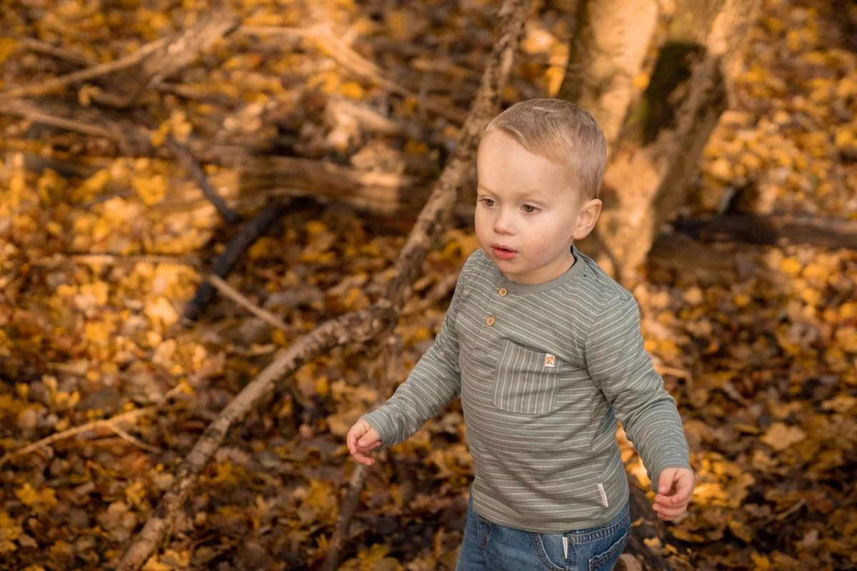 Little Dutch Baby Shirt Lange Mouw Forest Green Stripe - Image 5