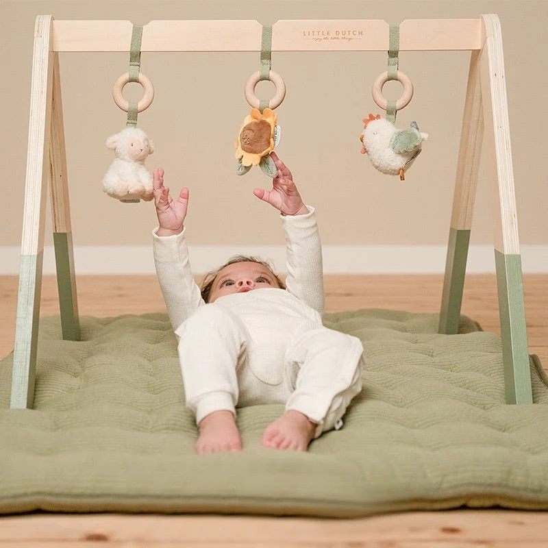 Little Dutch Babygym Little Farm - Image 6