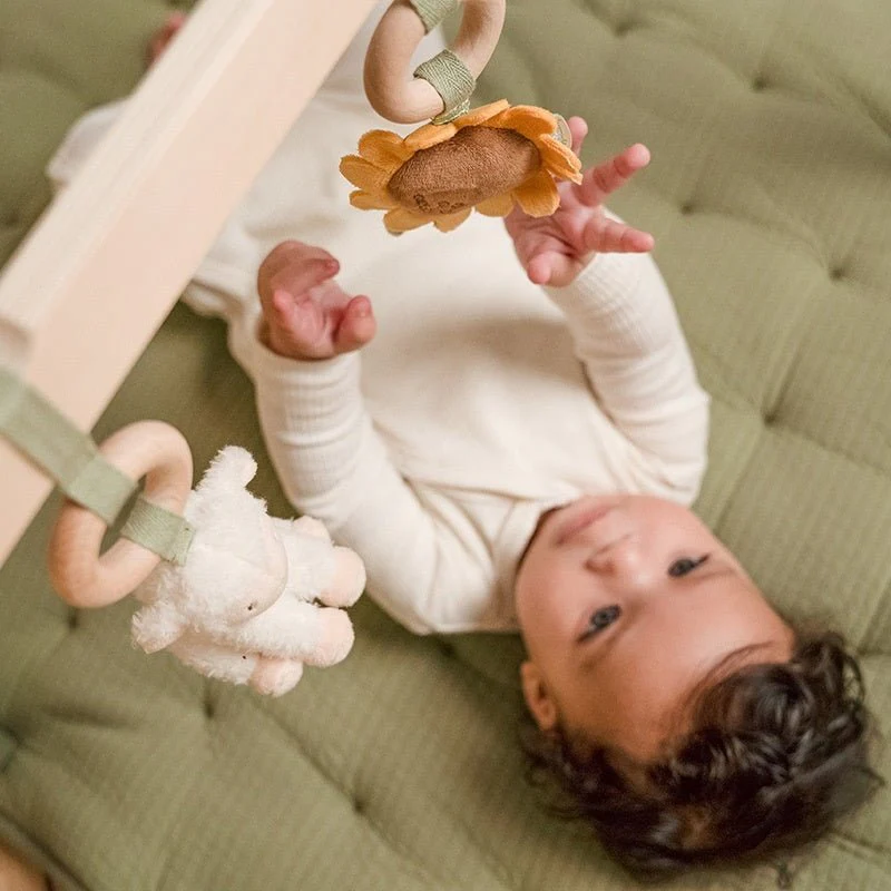 Little Dutch Babygym Little Farm - Image 7