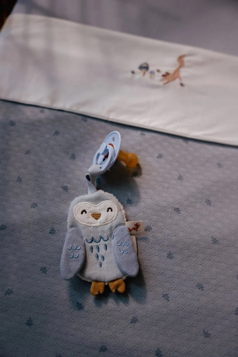 Little Dutch Speendoekje Uil Forest Friends - Image 6