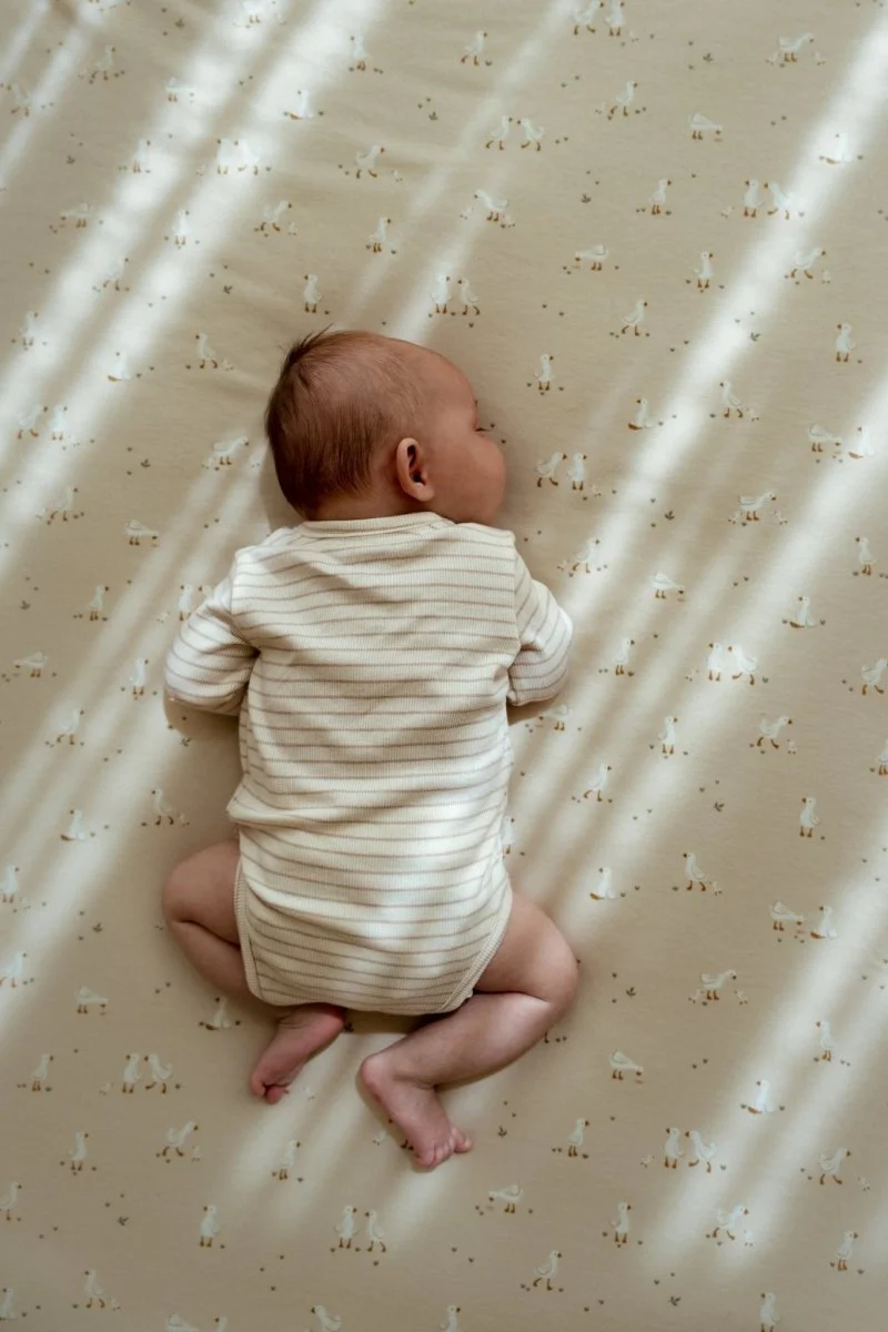 Little Dutch Wiegdeken 70X100Cm Little Goose - Image 3
