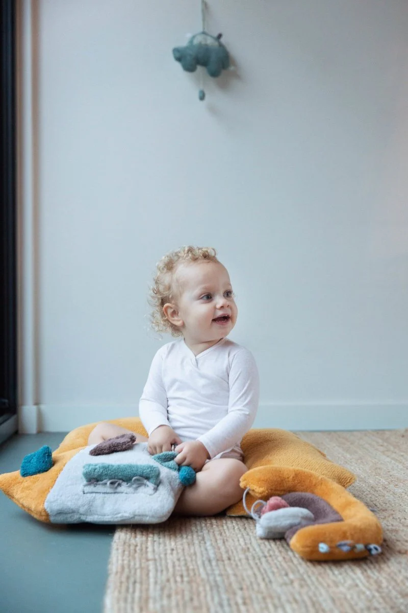 Snoozebaby Baby Boekje Activity House - Image 8