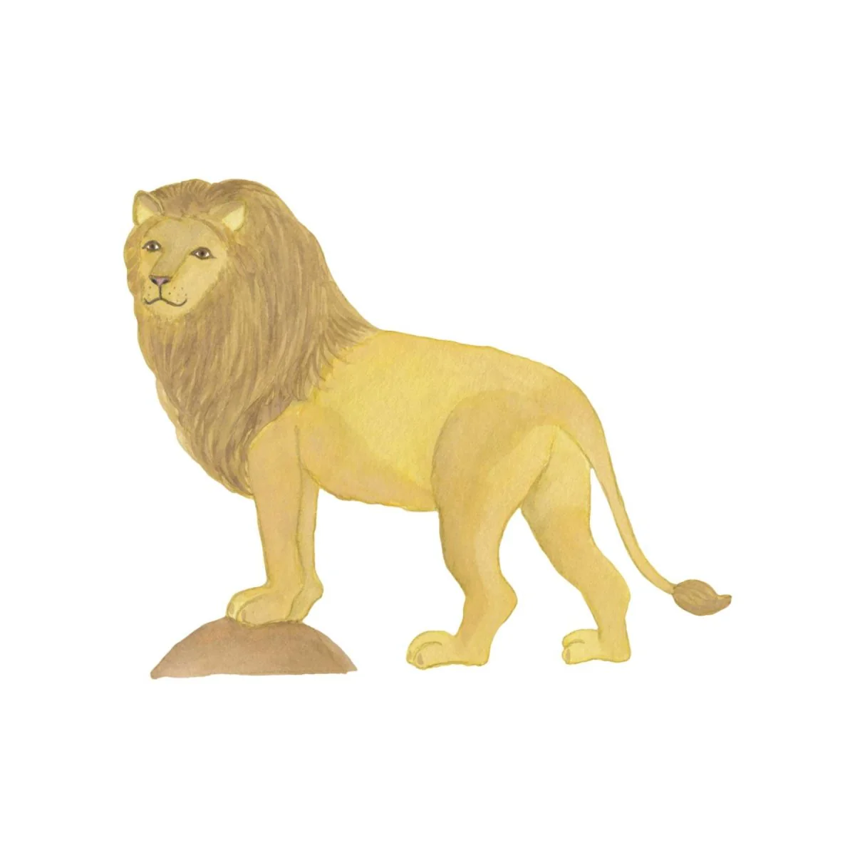 Miniatuur 1