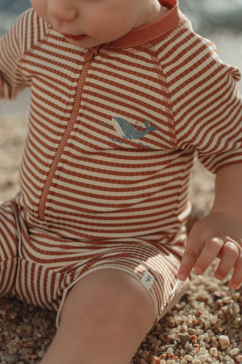 Zwempak korte mouwen Ocean Brown Stripes - Image 6